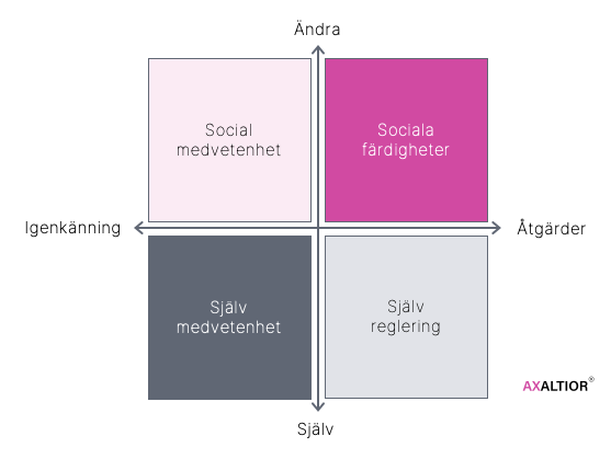 Emotionell Intelligens Kvadranten